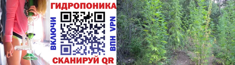 Канабис VHQ Энем